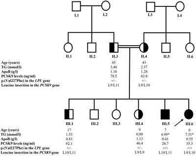 Low circulating PCSK9 levels in LPL homozygous children with chylomicronemia syndrome in a syrian refugee family in Lebanon